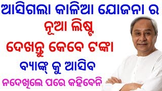 କାଳିଆ ଯୋଜନା ନୂଆ ଲିଷ୍ଟ ର ଟଙ୍କା ଆସିଲା ଦେଖନ୍ତୁ ଜଲଦି || Kalia yojana new list