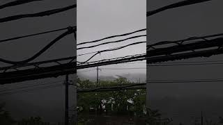 ウェザーリポート動画0426「本降りの雨、日の出見えず」@鳥取市　6時11分頃