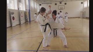 17. International Summer Budo Camp