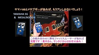 【歪みの広場】高中正義さん芸能生活50周年記念！ヤマハSGとメサブギー（MESA/BOOGIE）があれば無敵！そこに弊社ファッツスムーサーで歪みを作れば完璧です！