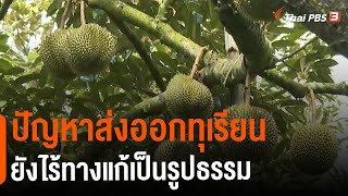 ปัญหาส่งออกทุเรียนยังไร้ทางแก้เป็นรูปธรรม (15 มี.ค. 65)