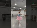 Julia Gundzik + Amber Harper does Isabella Boylston and Skylar Brandt's Ballet Challenge