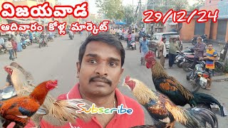 Vijayawada kodipunjulu market chapalu market vijaywada mitta tokaapunjulu sales