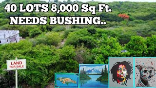 Huge lands for sale in Jamaica. Huge subdivision  in developing area