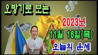 오방기로 보는2023년11월16일(목요일) 오늘의운세   \