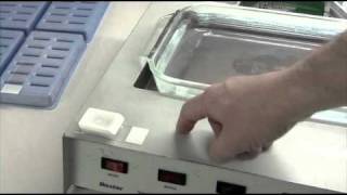 Preparing a Tissue Microarray Block for Cutting Vol. 3