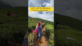 Must thing to do in Munnar || photoshoot in munnar tea gardens || traditional tea harvesting #kerala