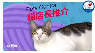 Pets Central DOJI貓店長推介 - Royal Canin Neutered Dry Food