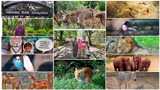 Bannerghatta National Park | ಬನ್ನೇರುಘಟ್ಟ ಜೈವಿಕ ಉದ್ಯಾನವನ | Jungle Safari \u0026 Zoo | ಜಂಗಲ್ ಸಫಾರಿ 2023