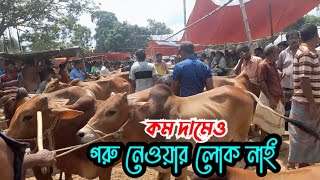 কম দামেও গরু কেনার লোক নাই নীলফামারী হাটে | উপচে পড়া আমদানী | Cow market