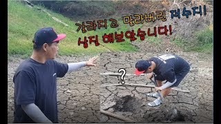 말라버린 저수지에 생물이 있을까? 삽으로 파보았습니다!