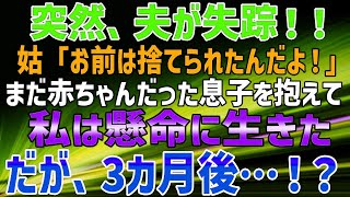 【スカッとする話】突然、夫が失踪！！姑「お前は捨てられたんだよ！」まだ赤ちゃんだった息子を抱えて、私は懸命に生きた。だが、3カ月後…！？