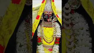 मां मरघट वाली जी का प्यार स्वरुप #Guru#maa#ka#ladla#kalka#navdurga darbar#roorkee#viralvideos#yt