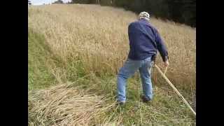 Scythe Supply Wheat Harvest