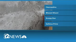 Winning names for ADOT's Name-a-Snowplow contest revealed