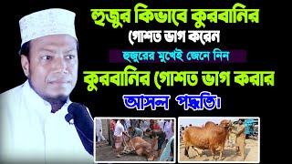 হুজুর কিভাবে কুরবানির গোশত ভাগ করেন হুজুরের মুখেই জানুন।কুরবানির গোশত ভাগ করার আসল পদ্ধতি।আমির হামজা