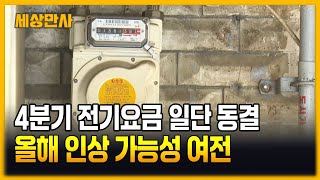 4분기 전기요금 일단 동결…올해 인상 가능성 여전 [세상만사] #전기요금 #한전