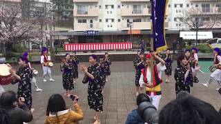 2019 和光青年会 鶴川エイサーよさこい祭 1回目演舞