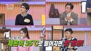 체온이 35ºC로 떨어지면 암에 걸린다! [엄지의 제왕 309회]