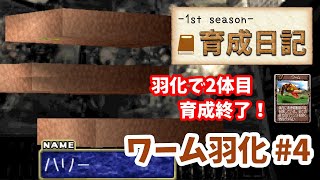 【モンスターファーム2】♯4～ワーム(羽化)を殿堂入り目指して育てる！育成日記-1st season-Part.8～【実況】