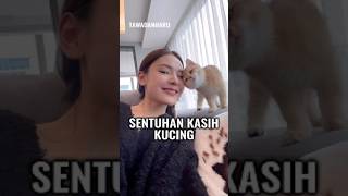 Persahabatan Kucing dan Manusia