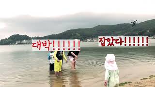 맨손으로 참게  잡을수 있는 바다??🦀거제사곡해수욕장 :)