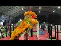 acrobatic lion dance by champion rawang xuan long 万挠玄龙 狮王之路 @ sjk c san yuk 大型高桩 冠军醒狮表演