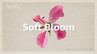 Soft Bloom Chill Background Music For Work Focus