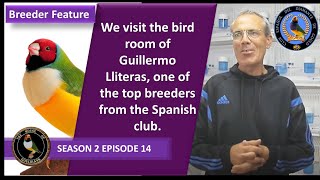 Gouldian Finches: House of Gouldians - Season 2 Episode 14