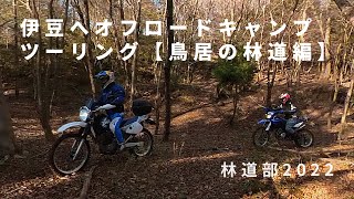 林道部で伊豆へオフロードキャンプツーリング【鳥居の林道編】