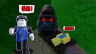 我被大頭猩猩追殺了！我最終能從大頭猩猩的手裏逃出去嗎？ROBLOX