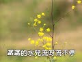 歌曲：聽泉