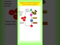 Feedback Inhibition || Negative Feedback Regulation || End Product Inhibition #shorts #neet #enzyme