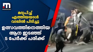 മദ്യപിച്ച് എത്തിയയാൾ വാലിൽ പിടിച്ചു; ഉത്സവത്തിനെത്തിയ ആന ഇടഞ്ഞ് 5 പേർക്ക് പരിക്ക്