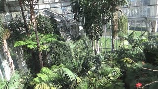 La serre tempérée - Botanical Garden Greenhouse, Geneva, Switzerland