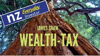 Wealth Tax - The Green Party Explains