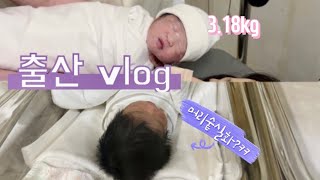 [출산vlog] 39주 0일차 제왕절개 출산ㅣ5박 6일 입원 브이로그ㅣ페인버스터