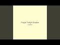 Fragile Twilight Shadow