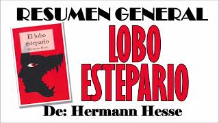 EL LOBO ESTEPARIO, Por Hermann Hesse. Resumen General