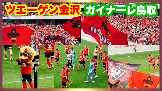 ツエーゲン金沢 チャント【試合前 　試合終了後挨拶】ガイナーレ鳥取 ゲンゾー 金沢ゴーゴーカレースタジアム2024.5.6