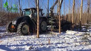 Débardage premiere eclaircie PEH EPB 8 ans tracteur Valtra