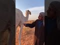 كيف تختار لحم الحاشي 🐪