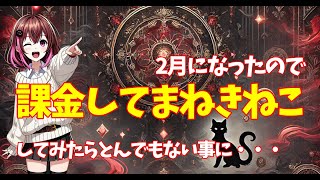 キノコ伝説2月になったので課金してまねきねこをしたら呪われてたよこの子