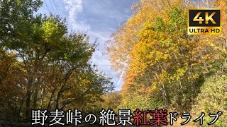 【 超広角4K車載動画】秋の野麦峠をドライブ