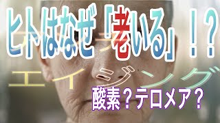 ヒトはなぜ老化するのか？メカニズム解説【不老不死】