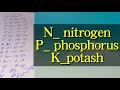 npk fertilizer for plants npk fertilizers in telugu పంటలలో వాడే ఎరువులు npk in telugu