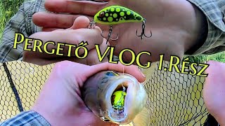 Pergető VLOG 1.rész - Salmo Shallow Rattlin Hornet teszt.