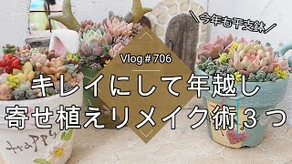 【Vlog706】【多肉植物】今年もありがとう！キレイにして年越し🐍寄せ植えリメイク術３つ【みのりんさん干支鉢】