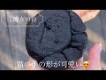 ジブリパーク大倉庫プレミアム全エリア制覇【食べ歩き多め】人気エリアや回るコツを伝授！