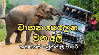 වන අලිත් එක්ක සෙල්ලම් එපා Elephant attack Sri Lanka